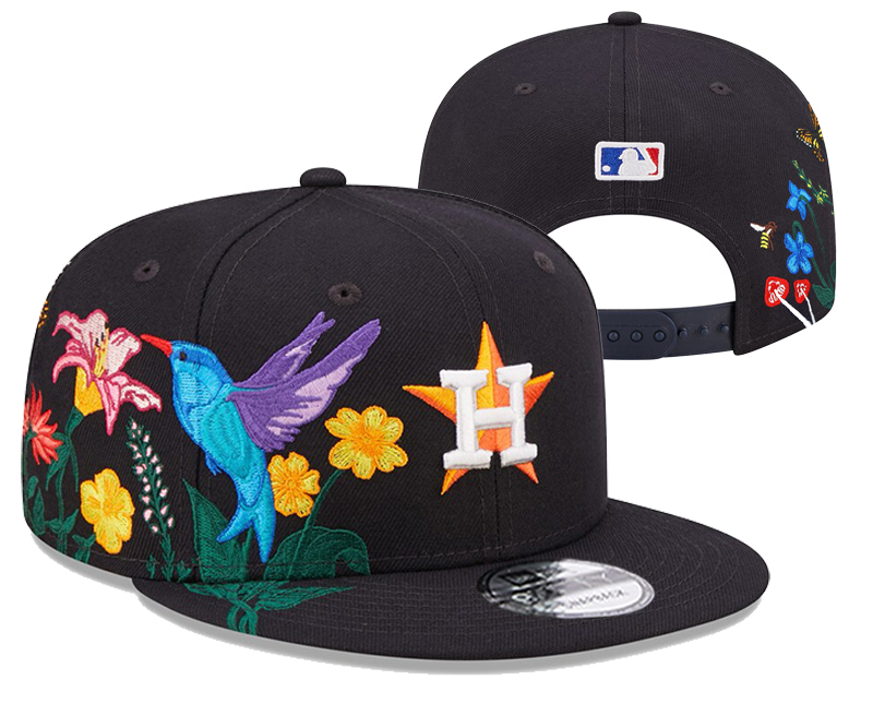 Houston Astros Stitched Snapback Hats 026